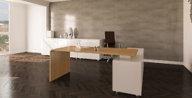 Ambassador Series