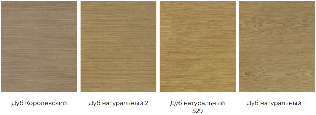 text shpon 04